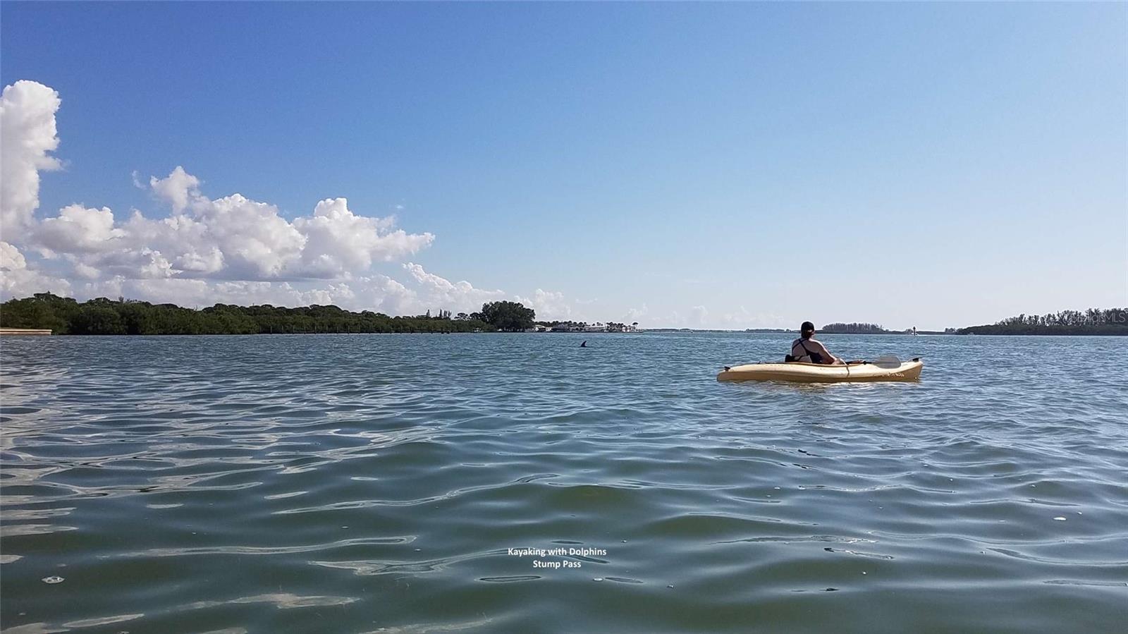 PARK POINTE MOB HME VLGE - Land