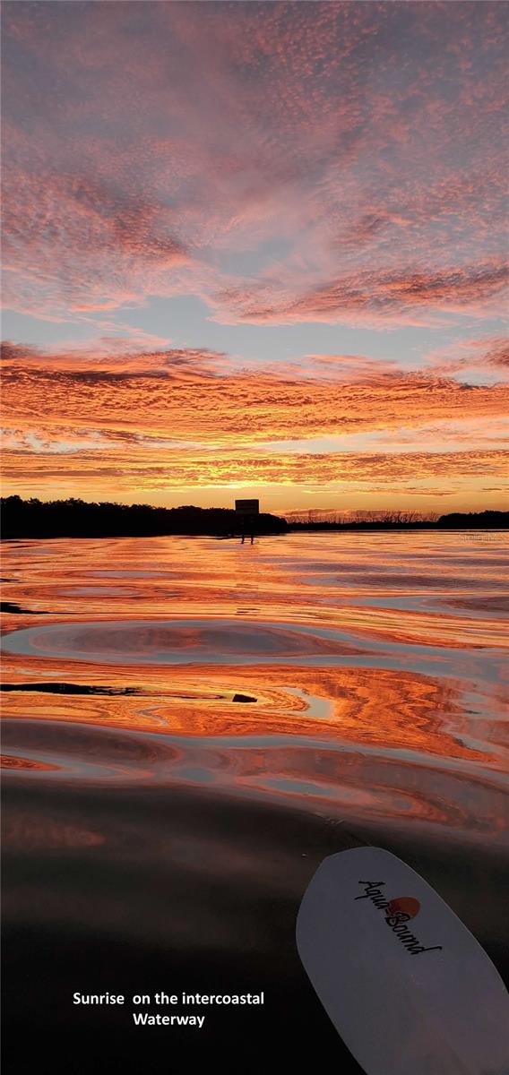 PARK POINTE MOB HME VLGE - Land