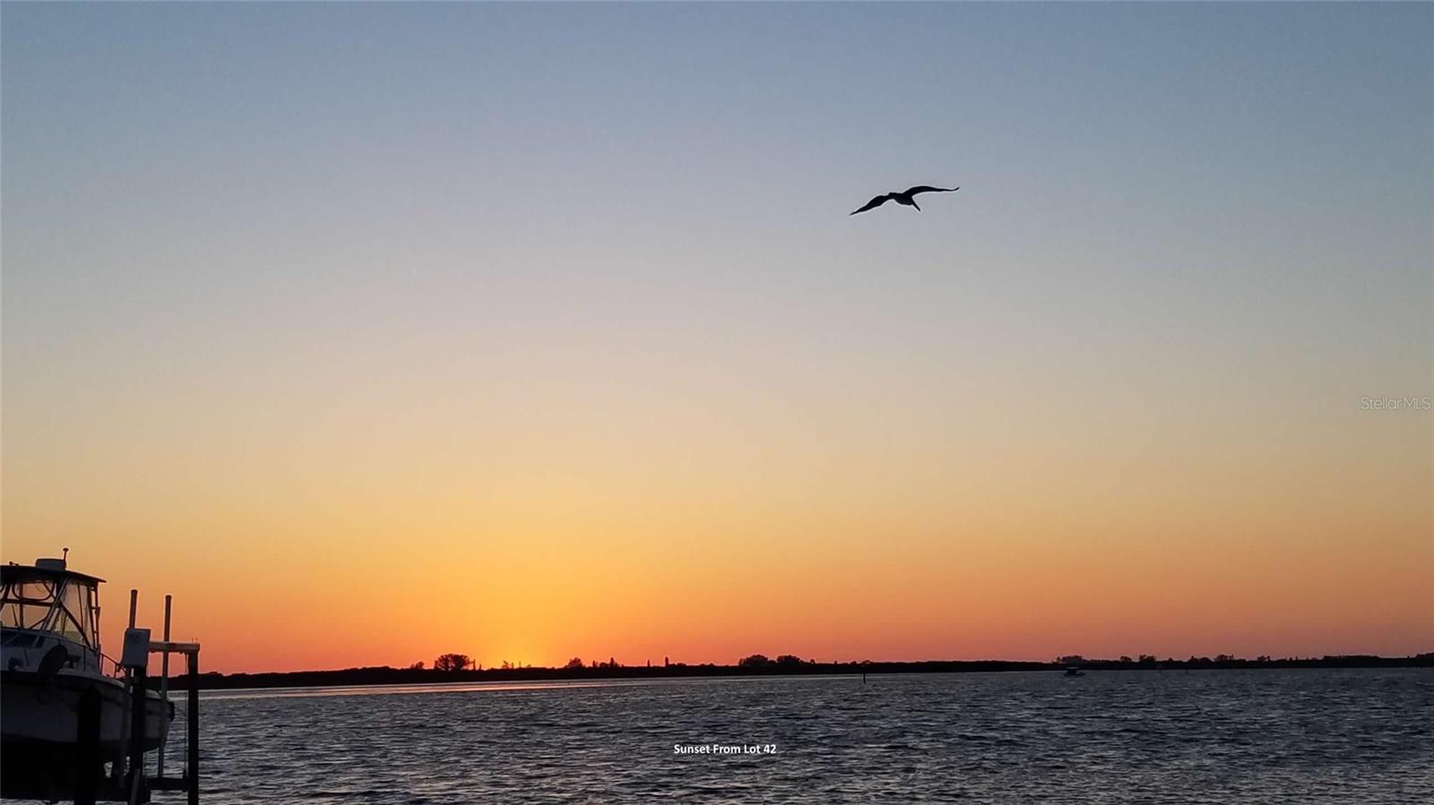 PARK POINTE MOB HME VLGE - Land