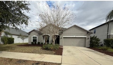 Photo of 2916 Shetland Ridge Drive, Valrico, FL 33596 (MLS # TB8436201)