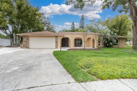 30 PINETREE COURT PALM HARBOR FL 34683