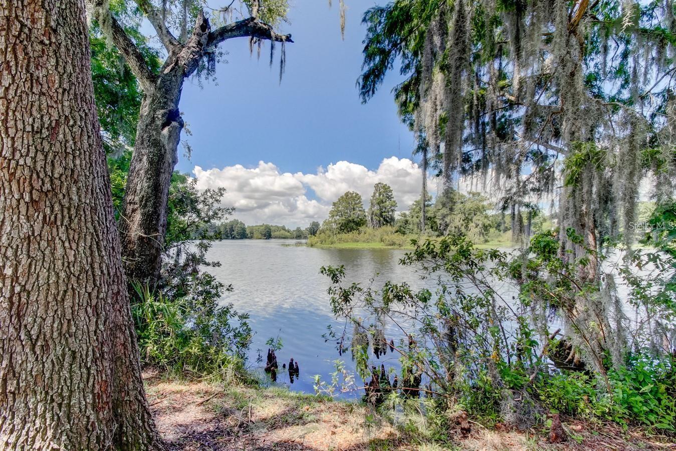 TEMPLE TERRACE ESTATES SEC 22 - Residential