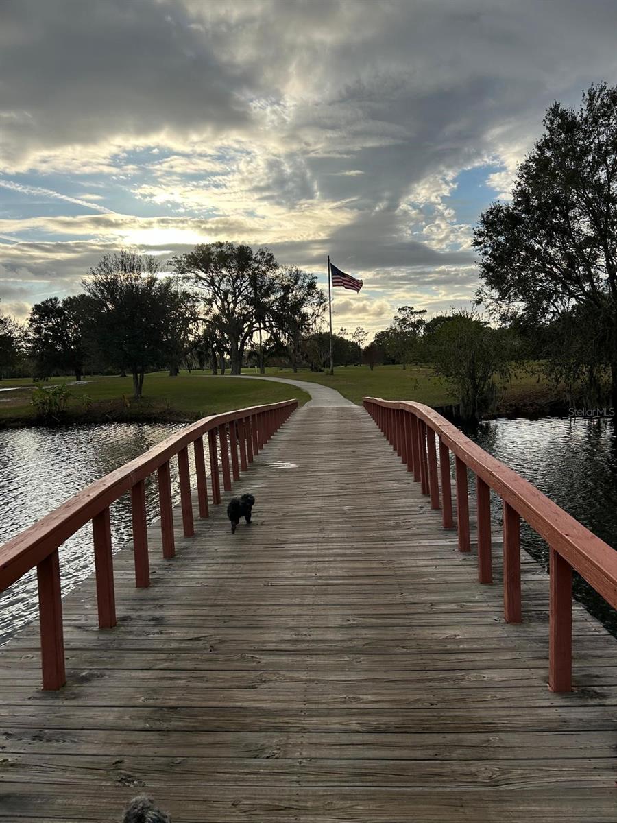 INDIAN LAKE ESTATES - Land