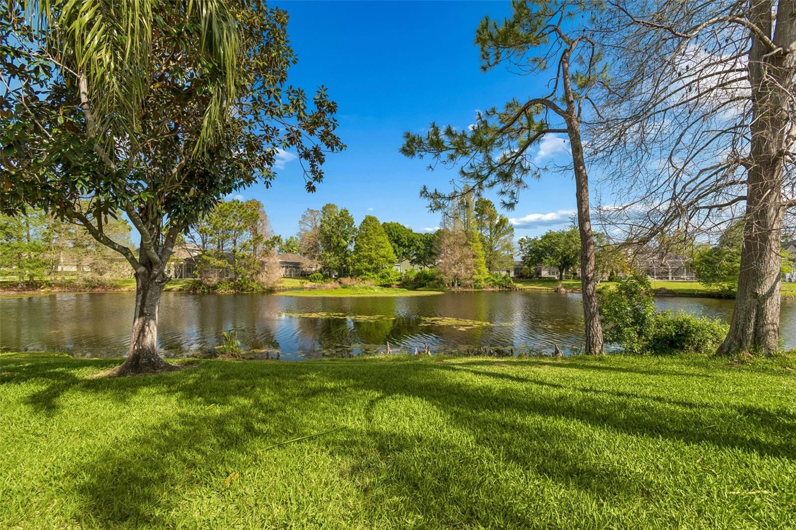 WESTCHASE SEC 377 - Residential