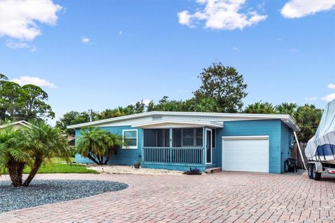 A home in FLAGLER BEACH