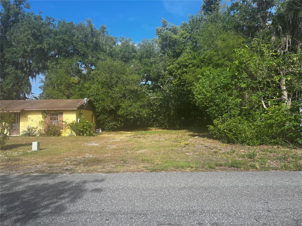 Photo of 1109 Stinson Street, Leesburg, FL 34748 (MLS # TB8502392)