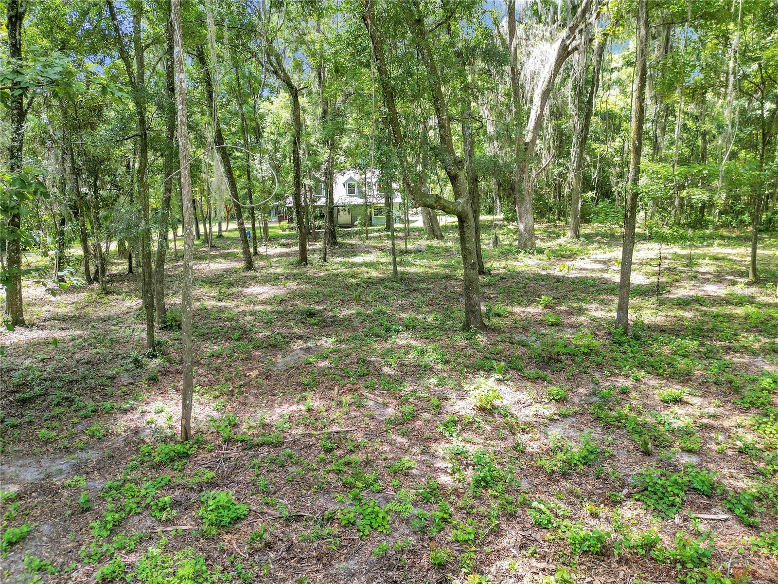 SADDLE HILL 2ND REP - Residential