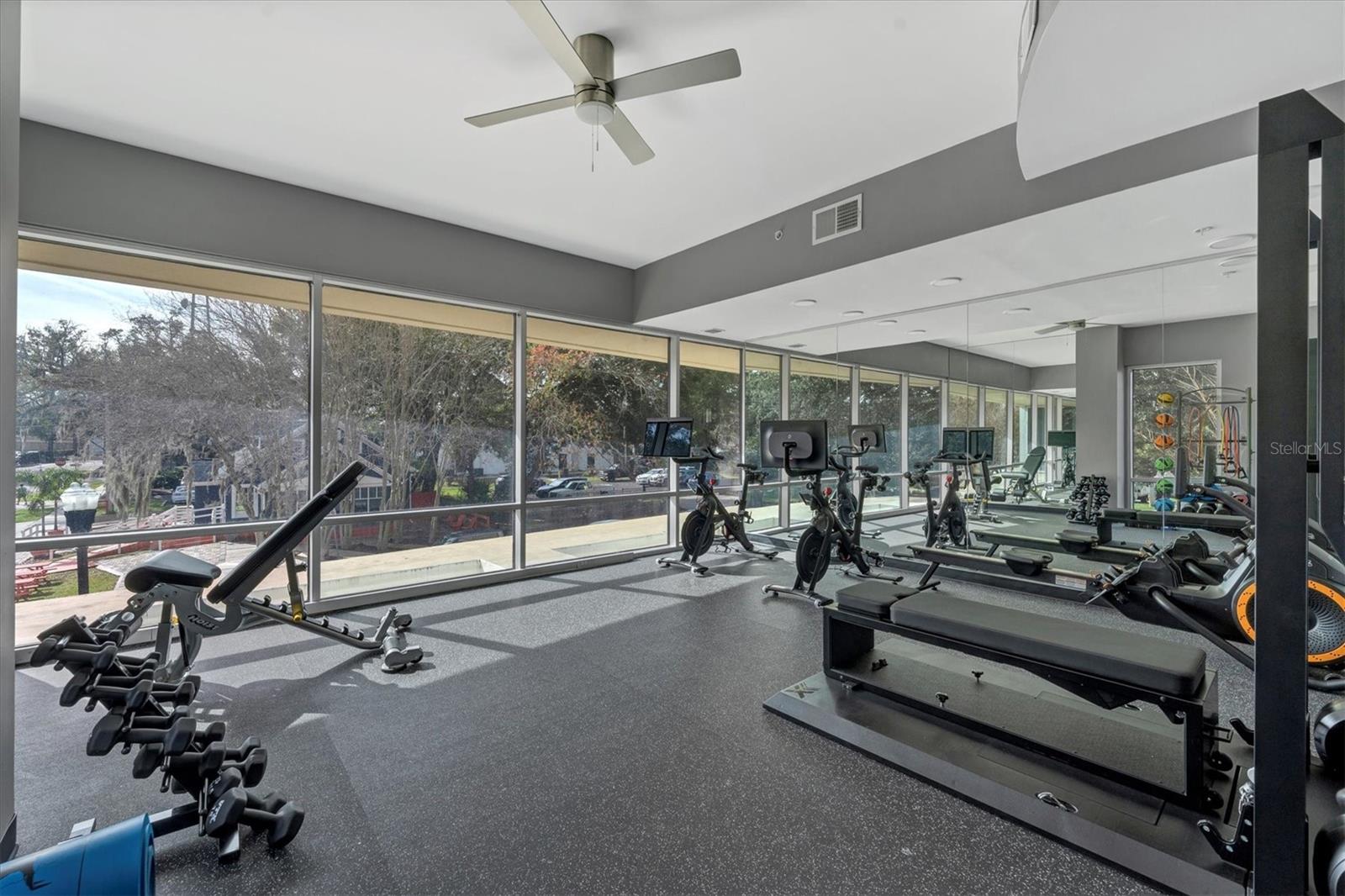 JACKSON - Residential Lease