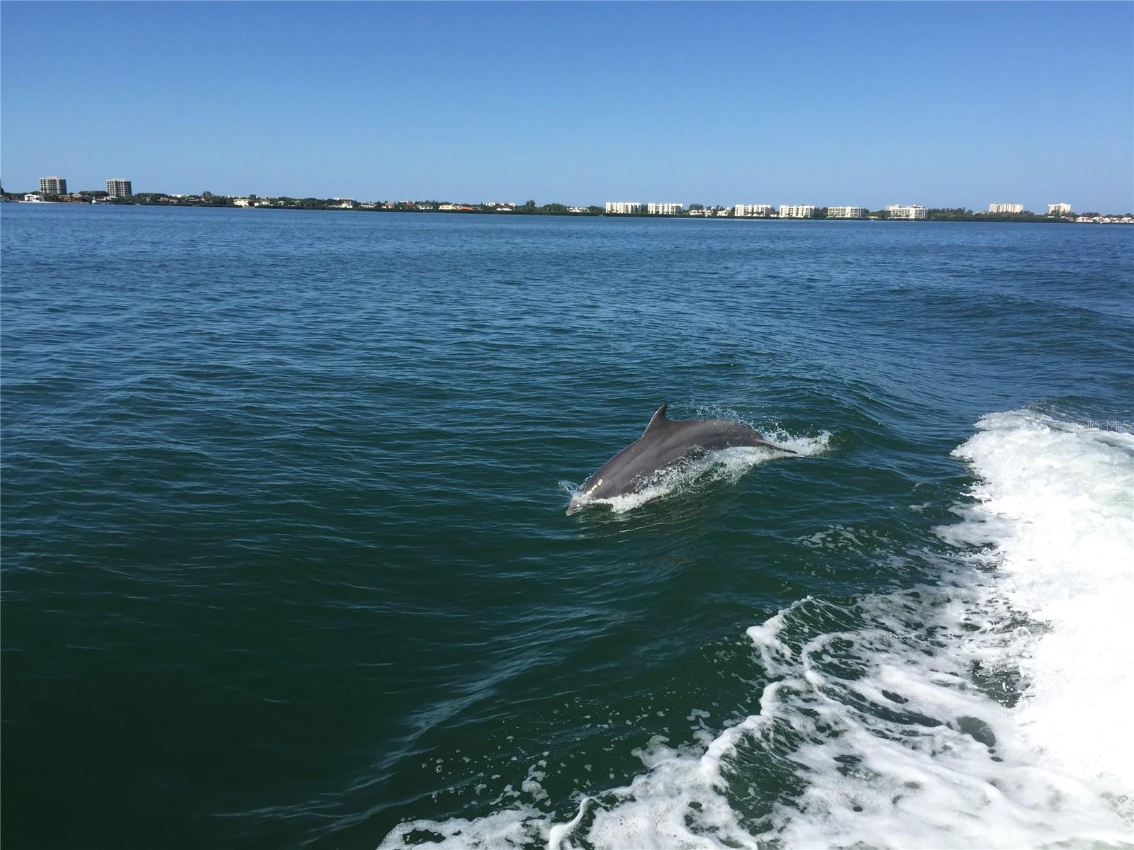 LONGBOAT KEY MOORINGS - Residential