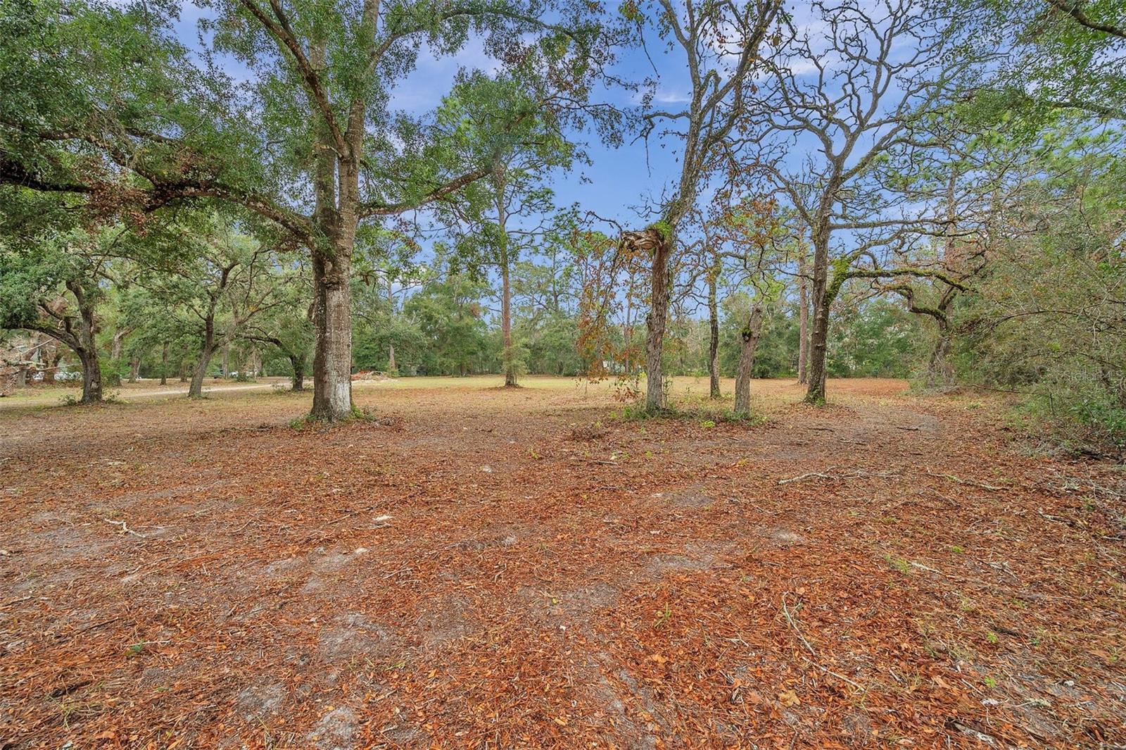 DEASON DRIVE