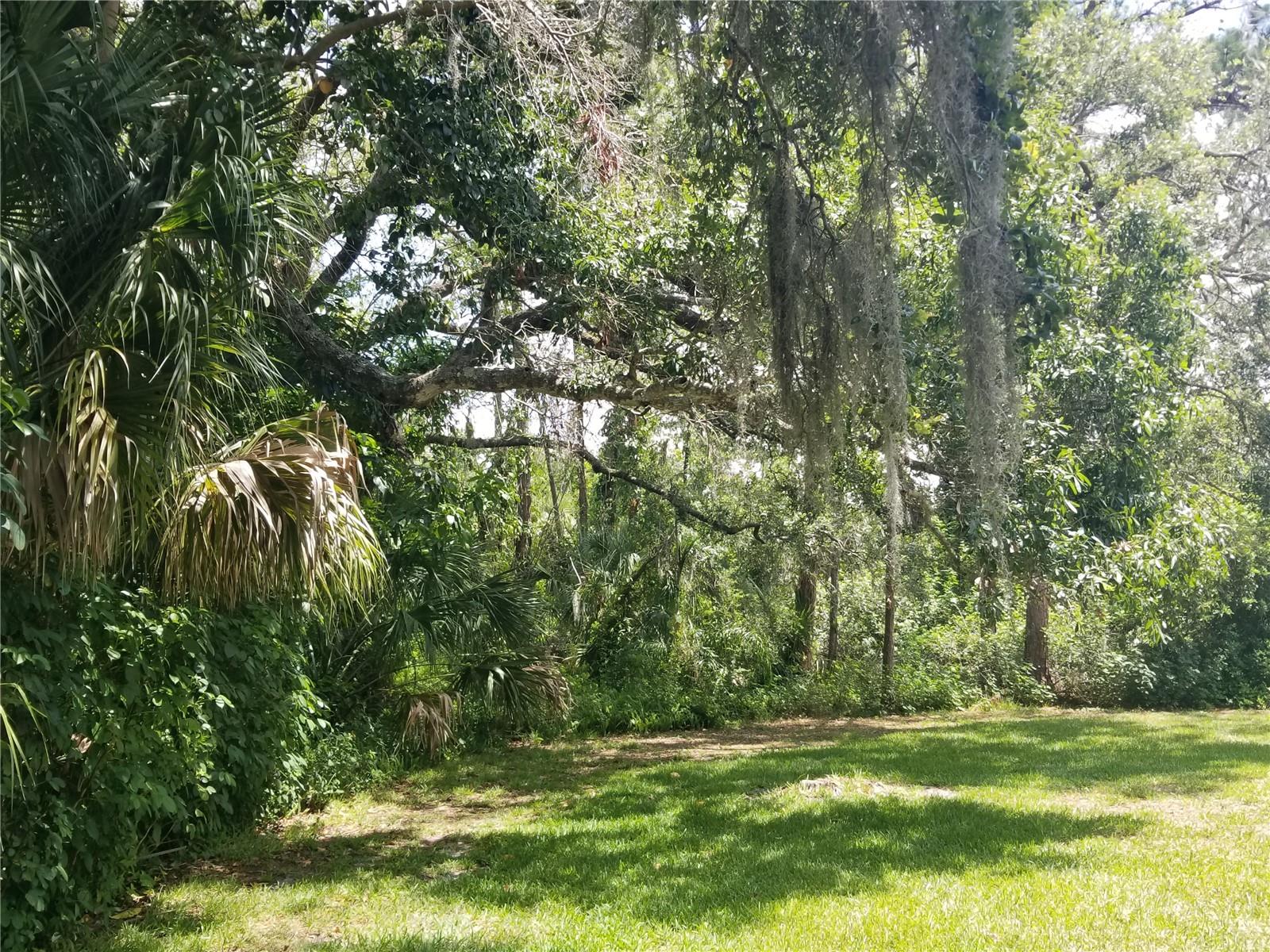 EAGLE CREEK I - Residential Lease