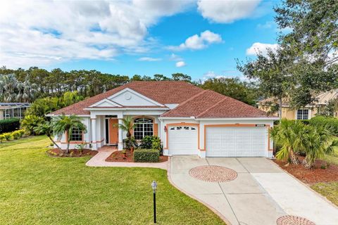 A home in BRADENTON