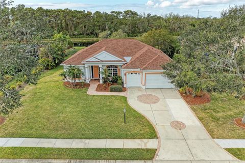 A home in BRADENTON