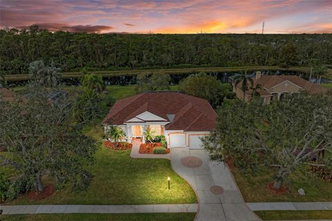 A home in BRADENTON