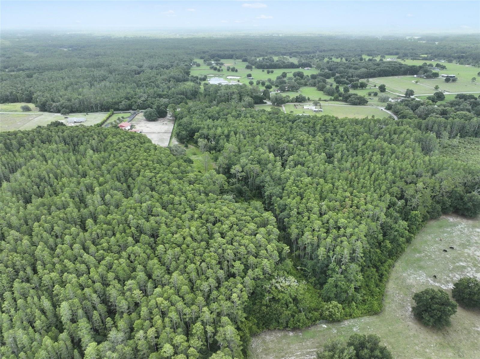 Seller may consider buyer concessions if made in an offer**Embrace peaceful country living with this exceptional opportunity—over 5 ACRES of land with NO HOA in the serene Groveland Farms community. With 1.5 ACRES of high and dry land, this property is mobile home ready or the PERECT SITE to build your custom dream home. Key utilities are already in place, including electricity, a well, and septic system, and a scenic POND enhances the natural beauty of the landscape. Surrounded by conservation areas, lakes, and state parks, this TRANQUIL SETTING offers the ideal balance of PRIVACY and CONVENIENCE, just minutes from shopping and dining along SR-33. Generous parcel sizes provide space and separation from neighbors while still maintaining a sense of community. Whether you're looking to bring in a mobile home or design your forever home from the ground up, this prime piece of land is READY AND WAITING. Don’t miss your chance to create your own PRIVATE RETREAT—schedule your visit today!