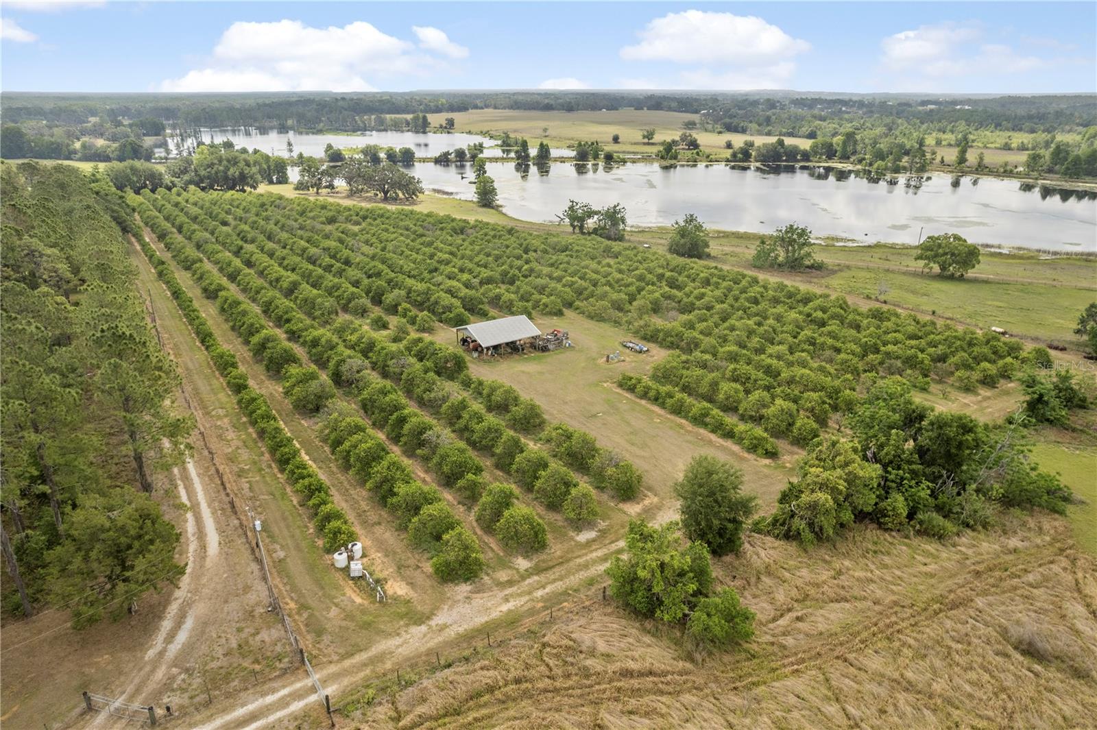 Escape to the tranquility of Old Florida with this beautiful 13+ acre orange grove, ideally situated for both agricultural use and future investment potential. This well-maintained property boasts mature citrus trees currently in production.
Featuring excellent road access, a reliable irrigation system, and rich soil perfect for continued farming, the grove is a turn-key agricultural operation. Whether you’re looking to expand your farming portfolio, establish a private retreat, or explore future development opportunities, this property provides endless possibilities.
Surrounded by natural beauty and located just minutes from town conveniences, it’s the perfect balance of rural seclusion and accessibility. Zoned agricultural, with low property taxes and no HOA restrictions.
Don’t miss this rare opportunity to own a piece of Florida’s citrus heritage!
Highlights:
• 13+ acres of producing orange trees
• Irrigation system in place
• Excellent access and location
• Agricultural zoning with low taxes
• Potential for multiple uses (farming, homesite, investment)
Contact us today for more information or to schedule a private tour!