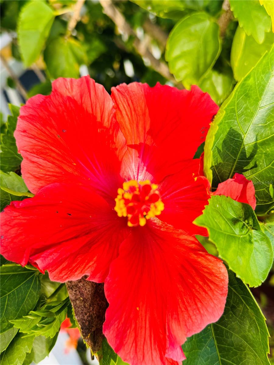 LAKE REGION MOBILE HOME VILLAGE - Residential