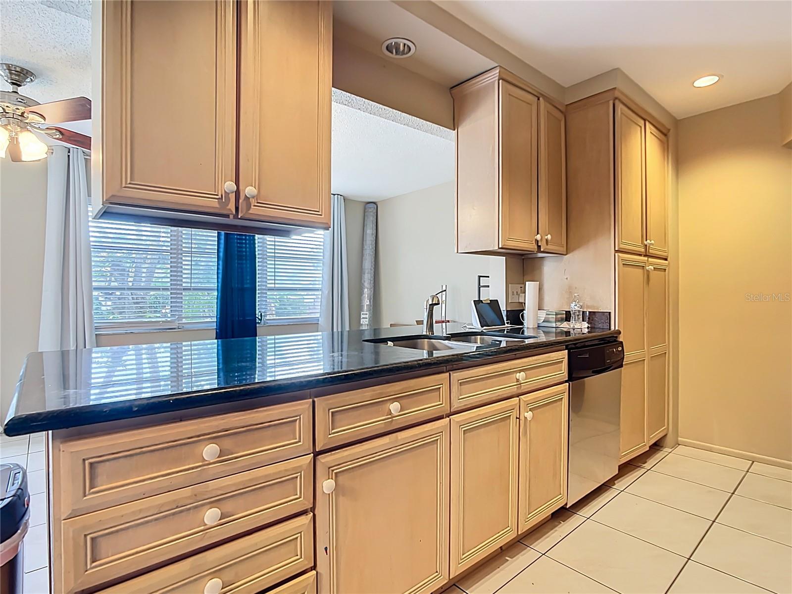 SOUTH VENICE - Residential