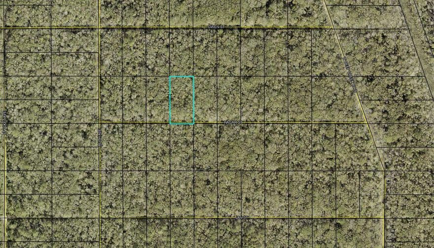 Here is your opportunity to own 1.14 acres in Flagler Estates located in Flagler County, Florida!