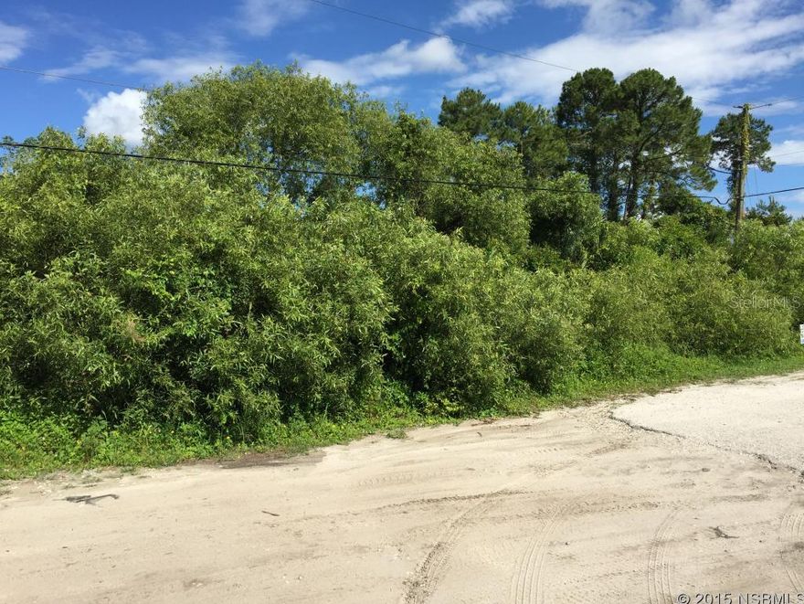 A 1.25 Acre Lot with an Unfavorable Wetlands Report.; Cleared: No