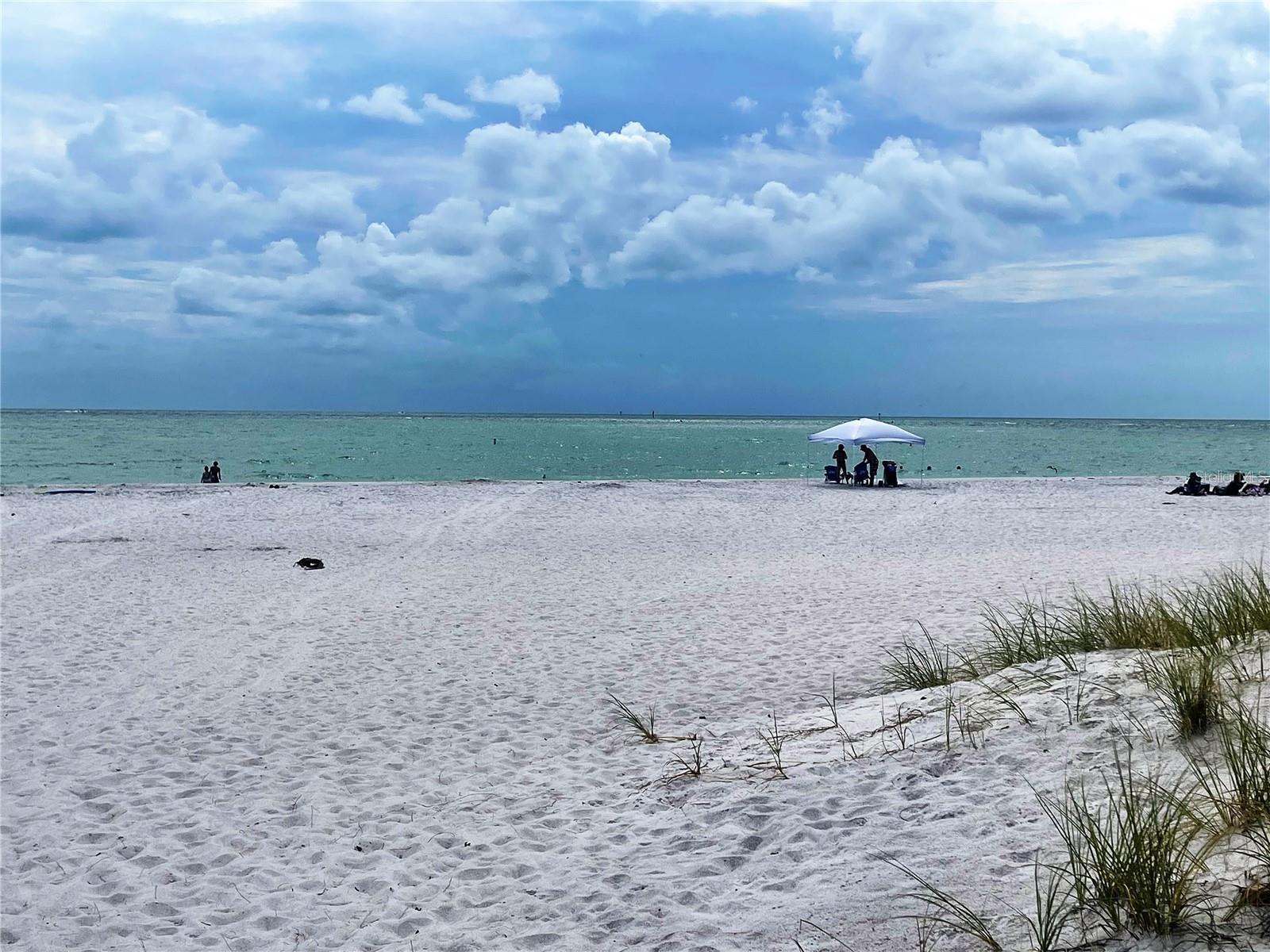 CONEY ISLAND - Residential