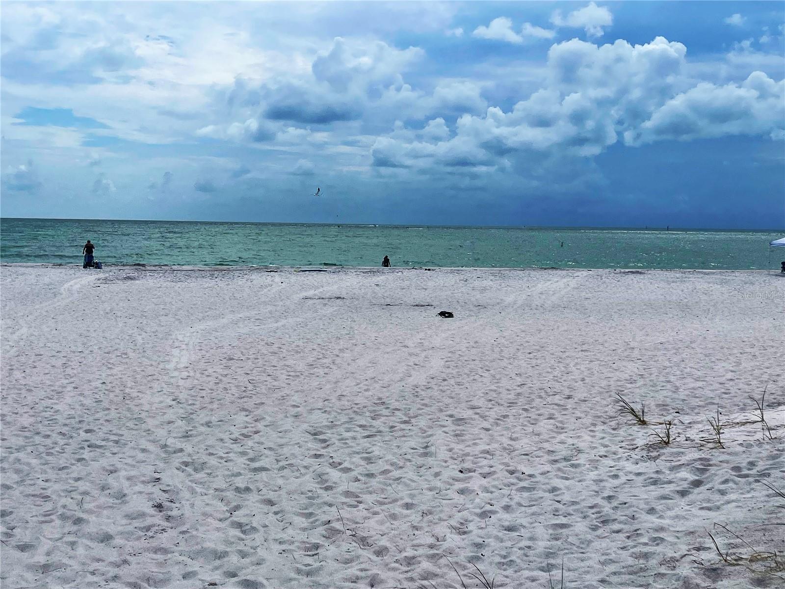 CONEY ISLAND - Residential
