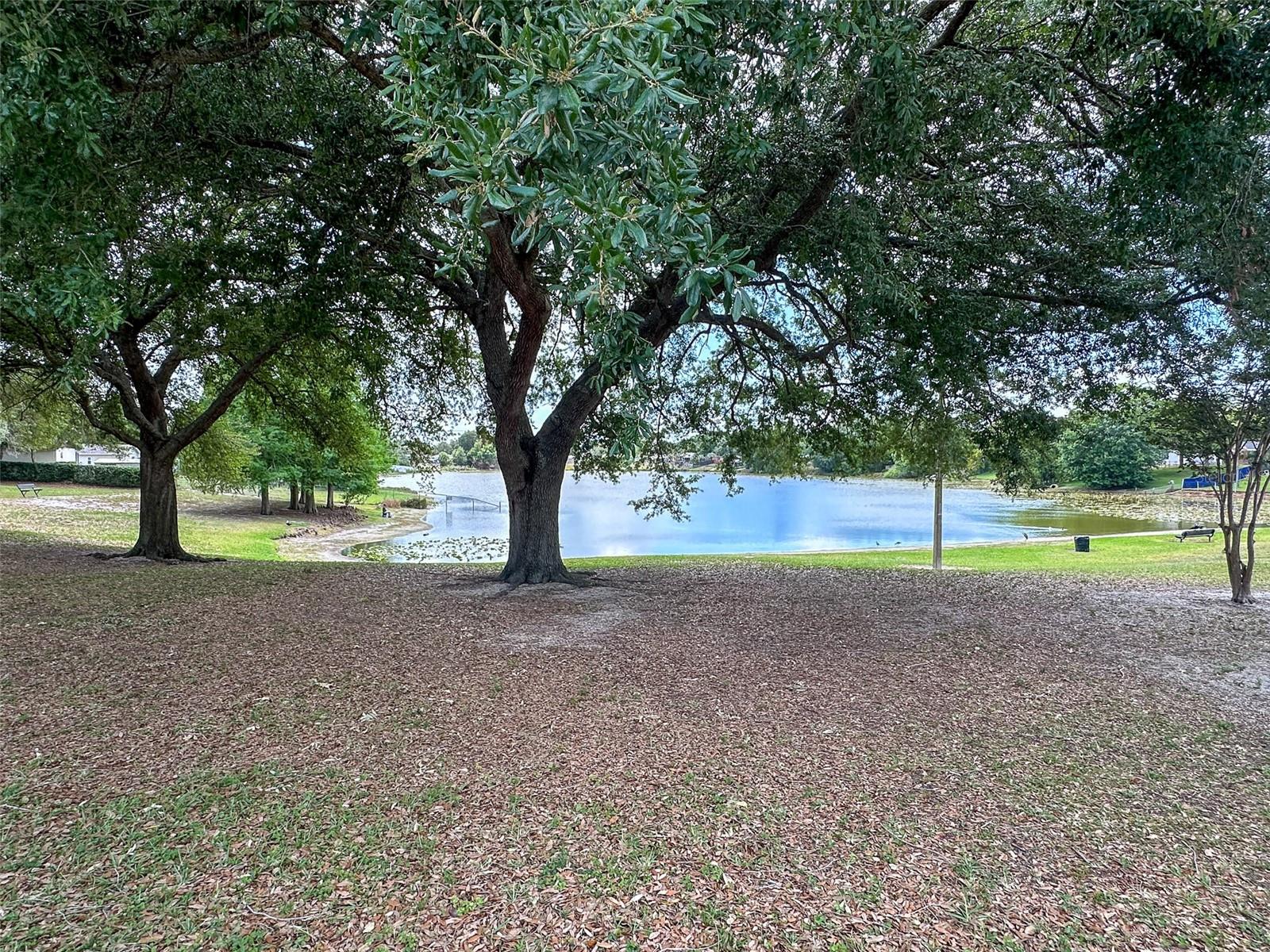 PEACH LAKE MANOR - Residential