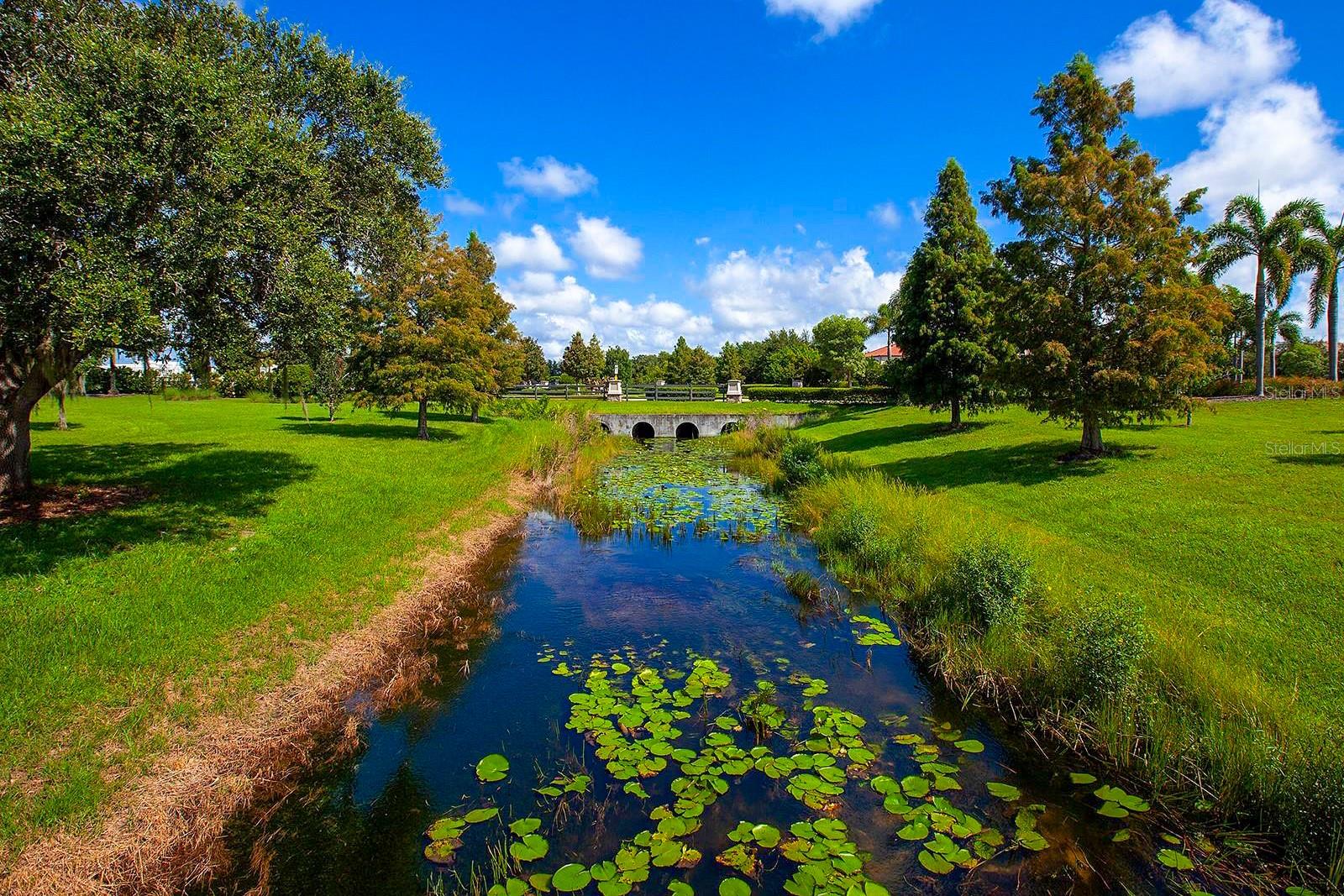 BRIDGEWATER PH I AT LAKEWOOD RANCH - Residential