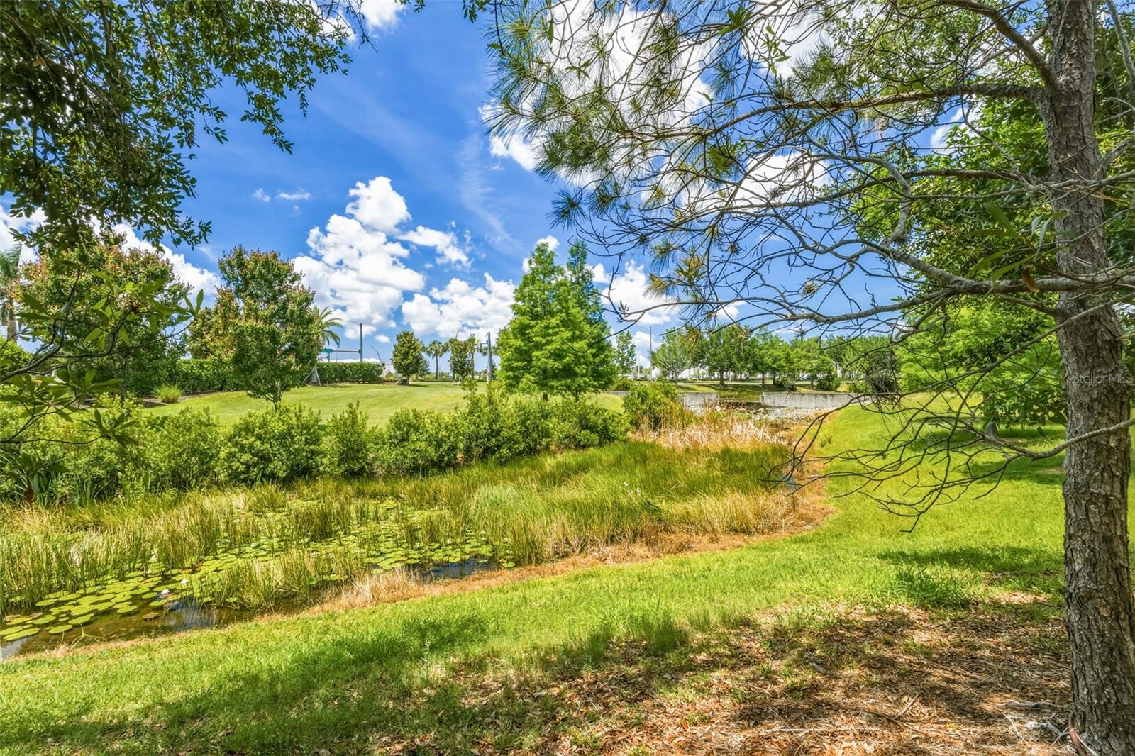 BRIDGEWATER PH I AT LAKEWOOD RANCH - Residential