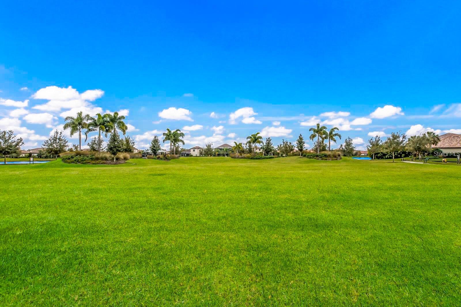 BRIDGEWATER PH I AT LAKEWOOD RANCH - Residential