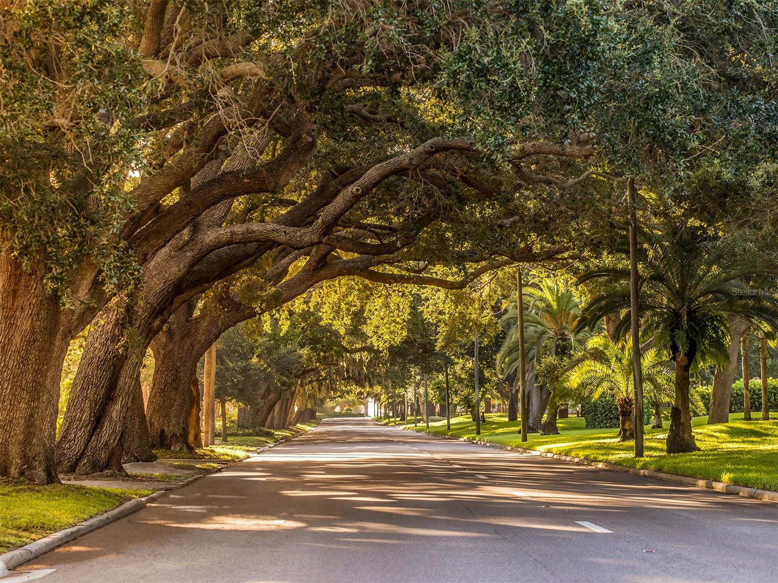 VENICE GULF VIEW REP - Residential
