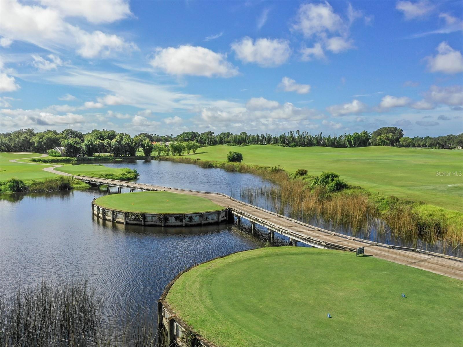 VENICE GULF VIEW REP - Residential