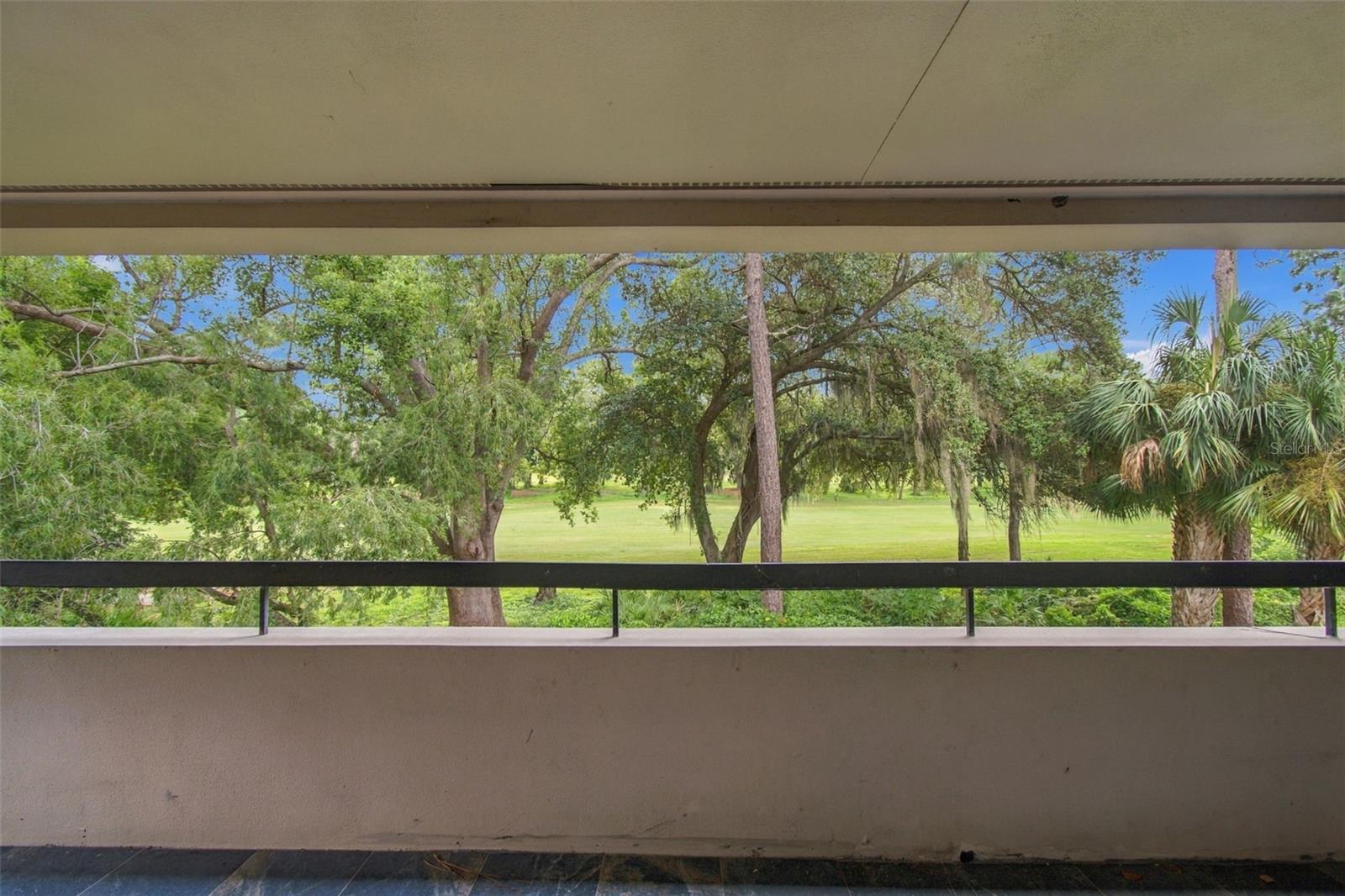 36750 US HIGHWAY 19 N 19201