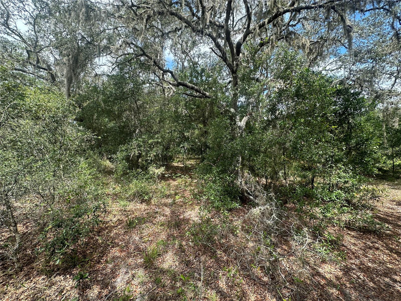 RAINBOW LAKES ESTATES - Land