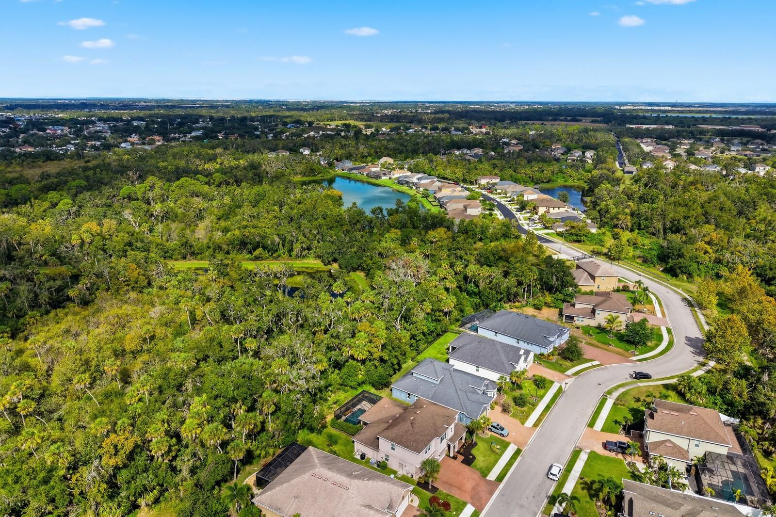 OAKLEAF HAMMOCK PH V - Residential