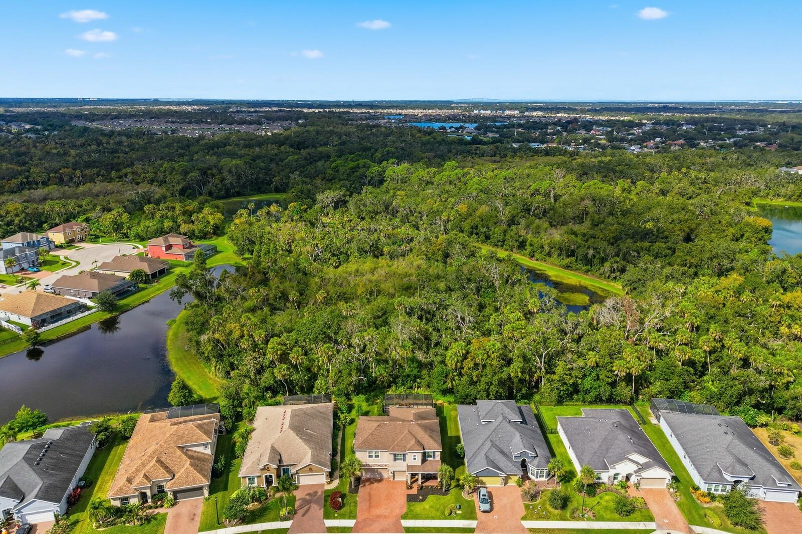 OAKLEAF HAMMOCK PH V - Residential