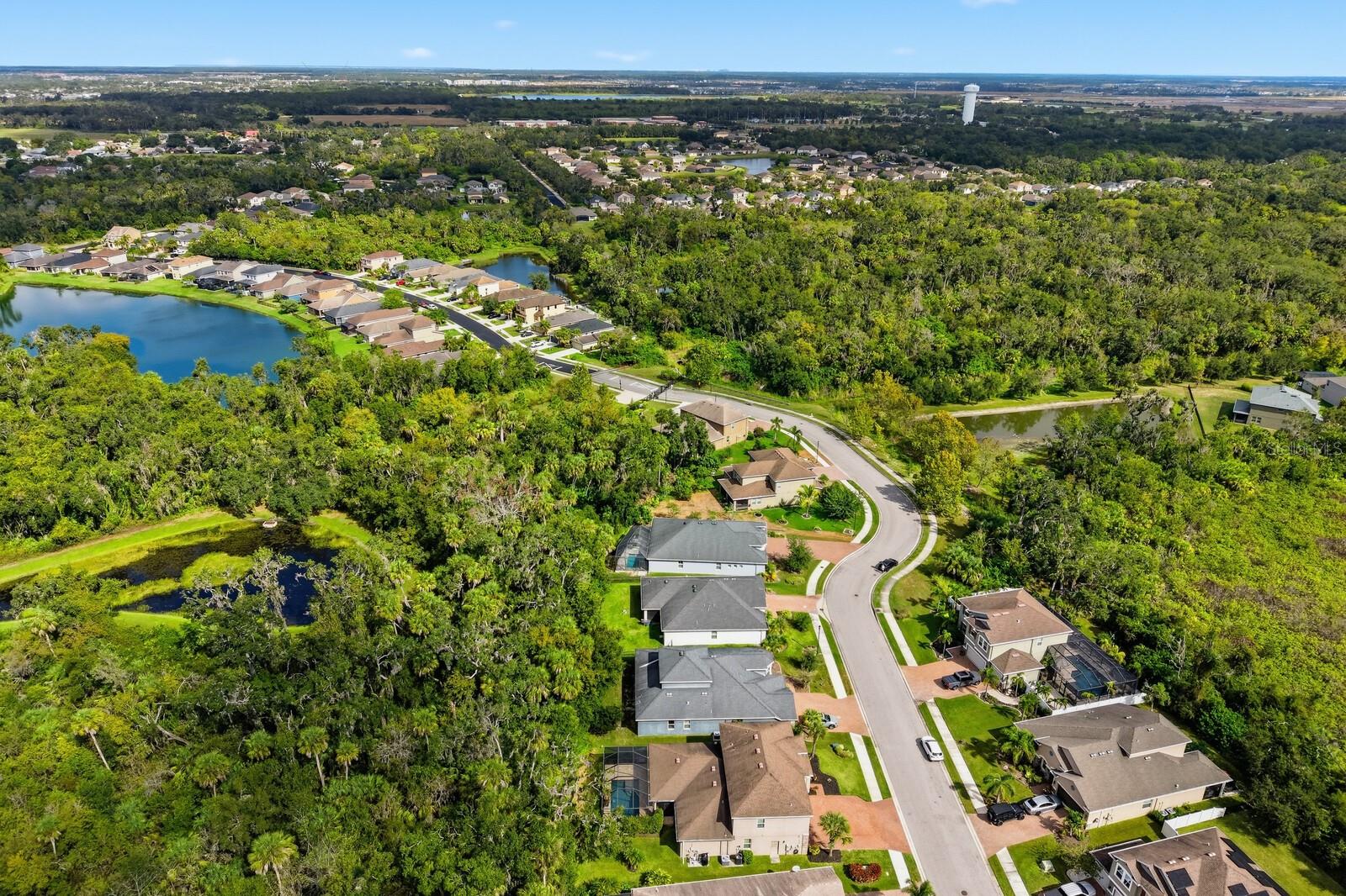 OAKLEAF HAMMOCK PH V - Residential