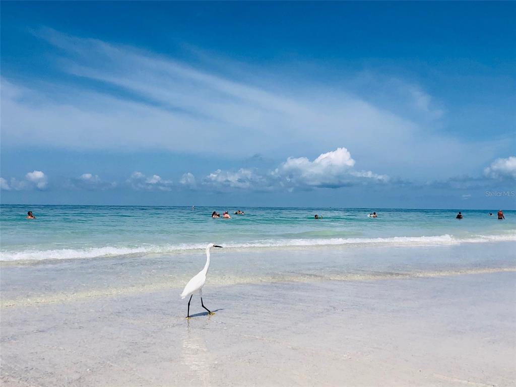 GULFVIEW - Residential