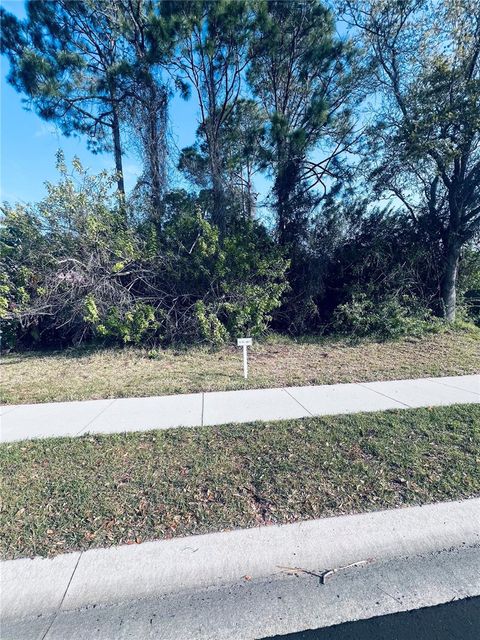 91 EMERALD LAKE DRIVE PALM COAST FL 32137