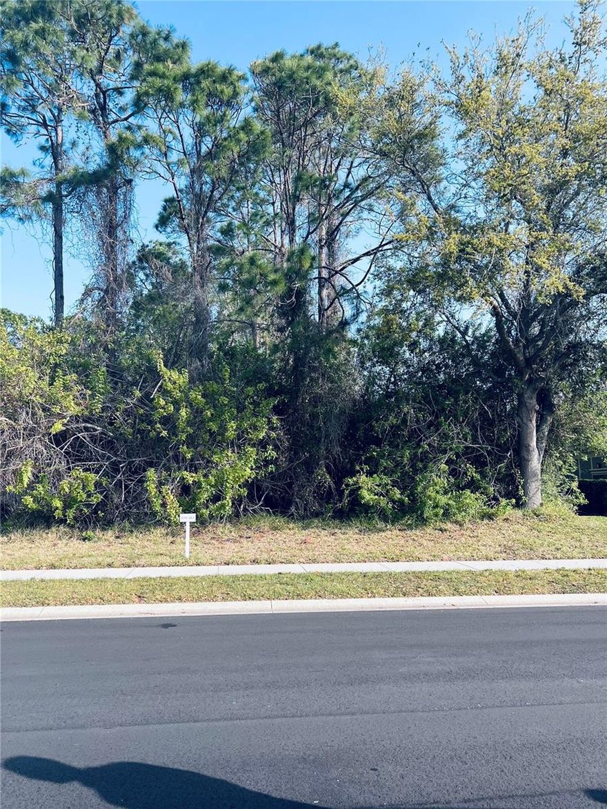 Don’t miss this incredible opportunity to live in one of Palm Coast’s most desirable gated communities. This homesite offers beautiful natural surroundings, lake views, and access to resort-style amenities. Enjoy a relaxed coastal lifestyle with a clubhouse, pool, fitness center, tennis courts, walking trails, and even Intracoastal Waterway access—all just minutes from Flagler Beach.

Whether you're ready to build now or looking to invest for the future, this is the perfect place to bring your Florida dream to life.