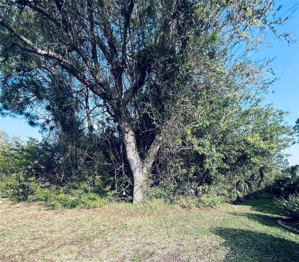 Photo of 91 Emerald Lake Drive, Palm Coast, FL 32137 (MLS # FC313255)
