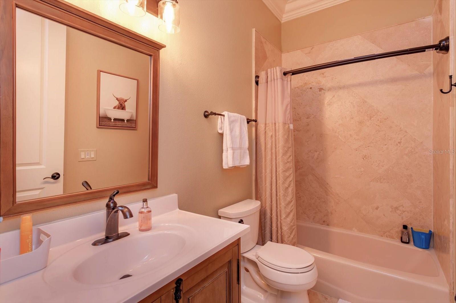 EMERSON POINTE - Residential