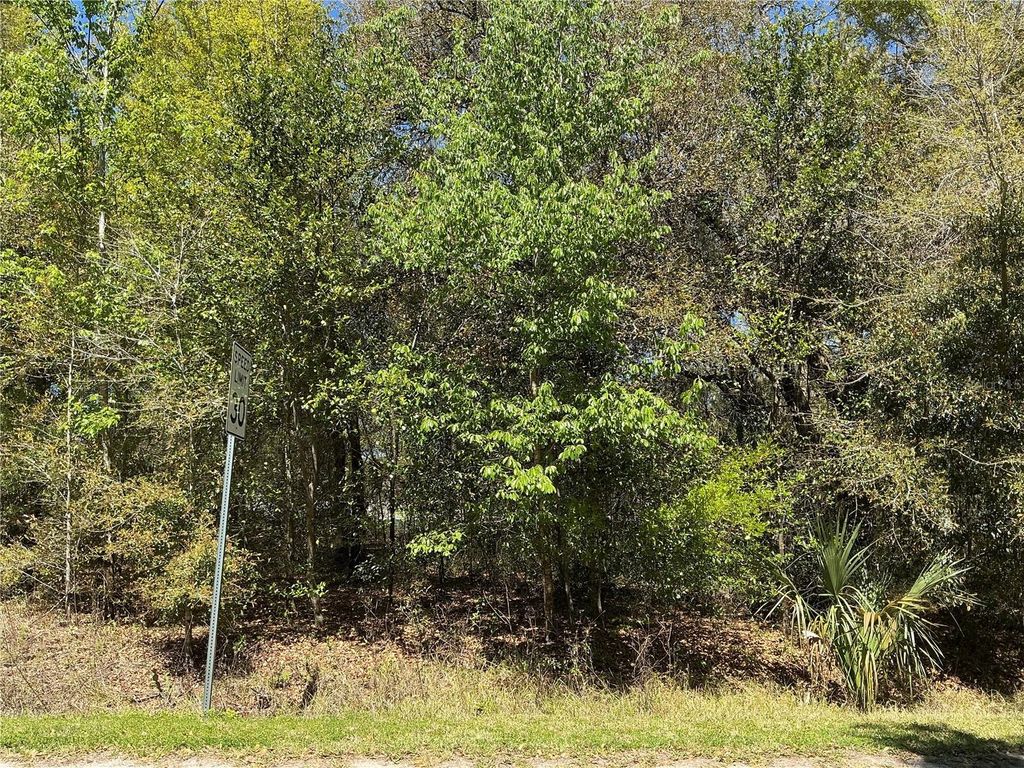 Photo of 00 SE 139th Lane, Summerfield, FL 34491 (MLS # OM715104)