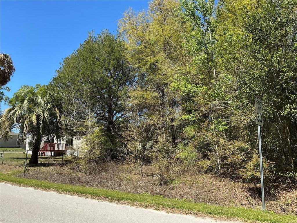 Photo of 00 SE 139th Lane, Summerfield, FL 34491 (MLS # OM715104)