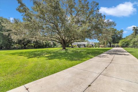 Tiny photo for 300 SE Highway 42, Summerfield, FL 34491 (MLS # OM703373)
