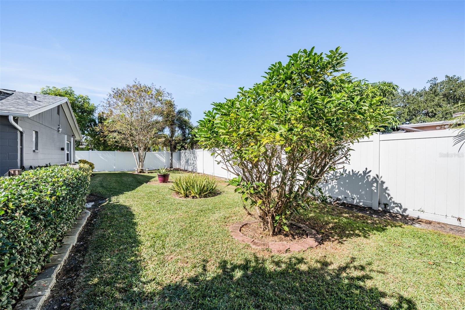 CYPRESS TREE UNIT 2 - Residential