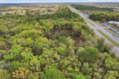 Tiny photo for 161 W Norvell Bryant Highway, Hernando, FL 34442 (MLS # TB8492935)