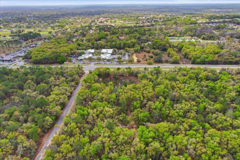 Tiny photo for 161 W Norvell Bryant Highway, Hernando, FL 34442 (MLS # TB8492935)