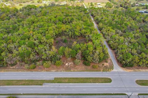Tiny photo for 161 W Norvell Bryant Highway, Hernando, FL 34442 (MLS # TB8492935)