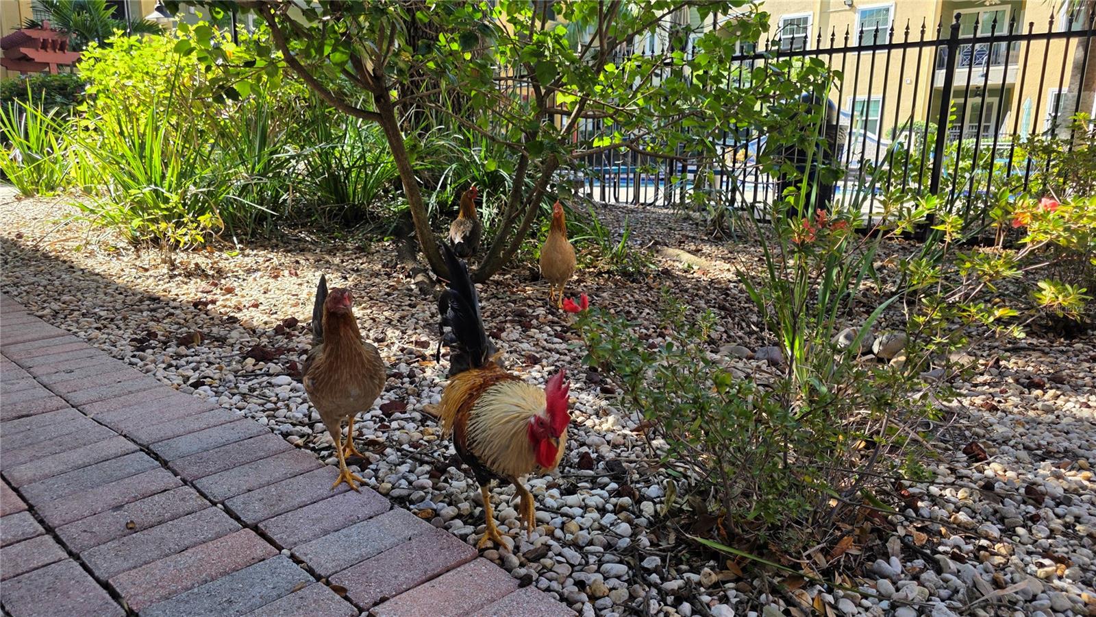 THE QUARTER AT YBOR - Residential